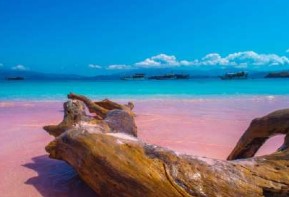 Pink Beach Komodo: How to Visit Indonesia’s Red-Sand Beach in 2027