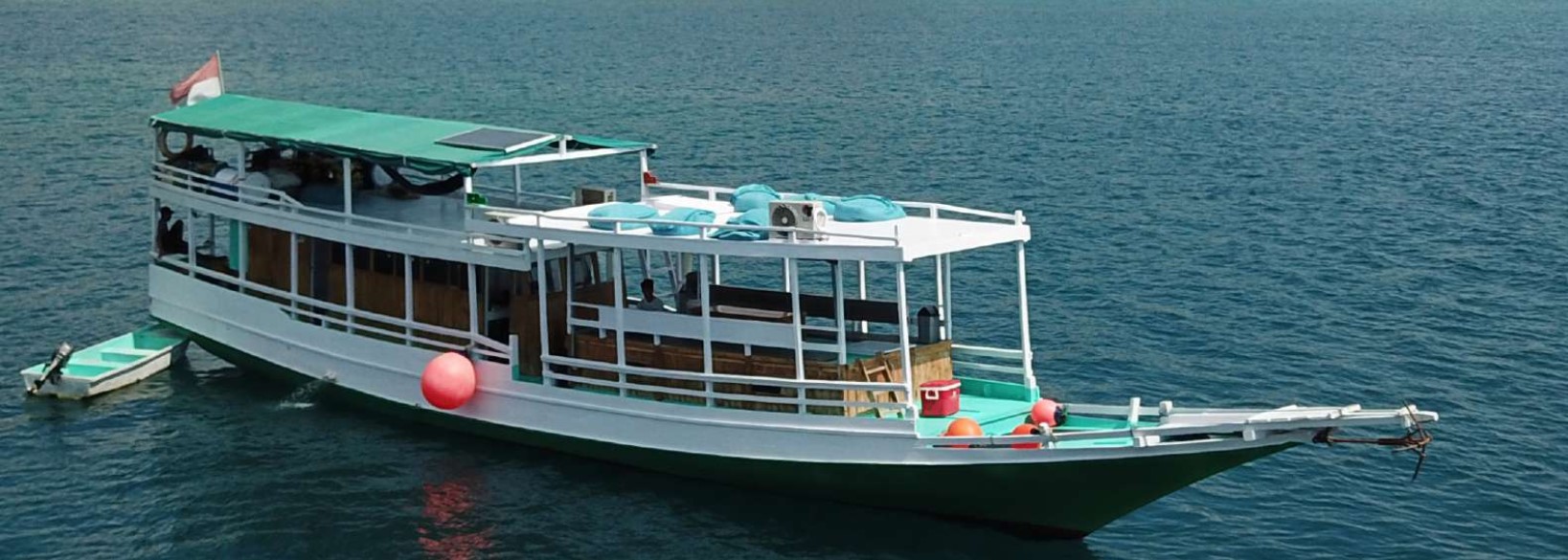 Komodo Liveaboard Phinisi Price Per Person 2026 Usd 334 To 545