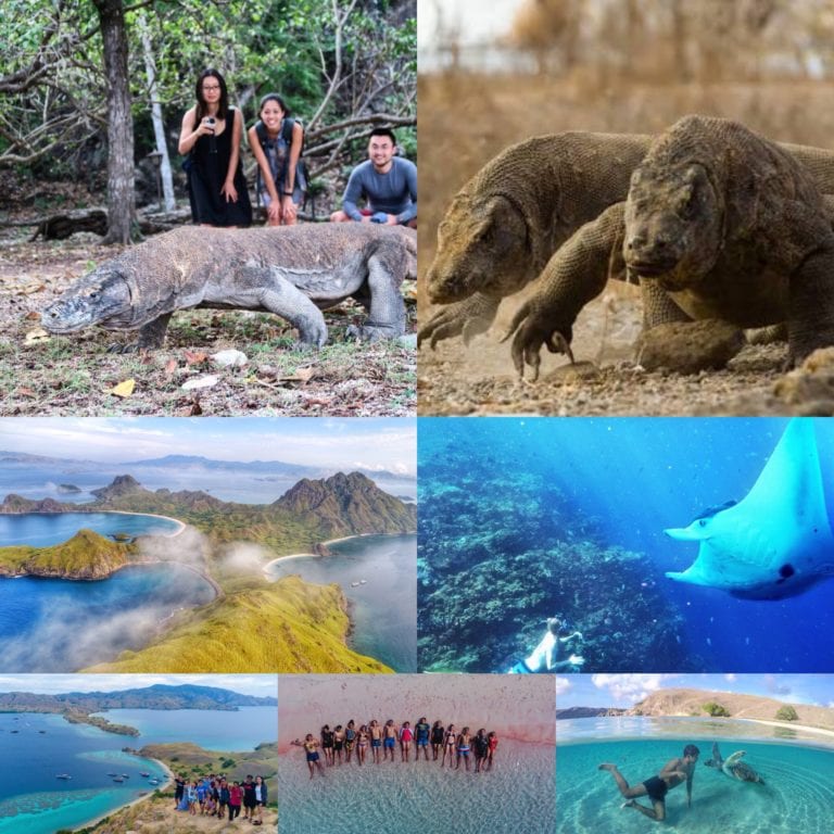 Komodo Open Trip 3D2N: The Full Day-by-Day Itinerary Aboard the Newly Built Naturalia Cruise