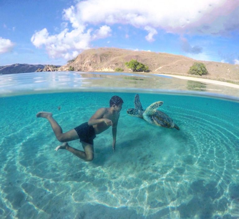 Diving & Snorkeling from Naturalia Cruise: Komodo Sites, Gear and the Daily Rhythm On Board