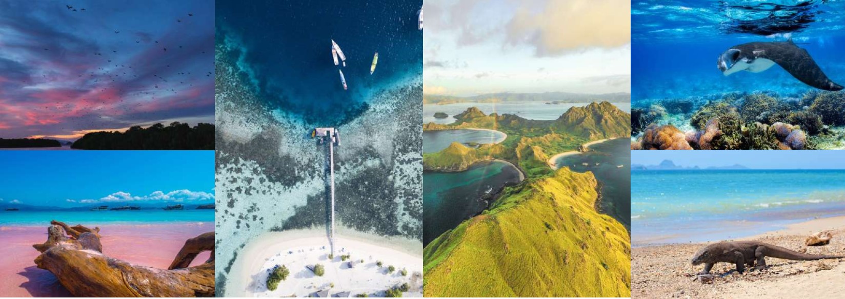 What Should You Expect on Your First Komodo Cruise? Day One, Hour by Hour