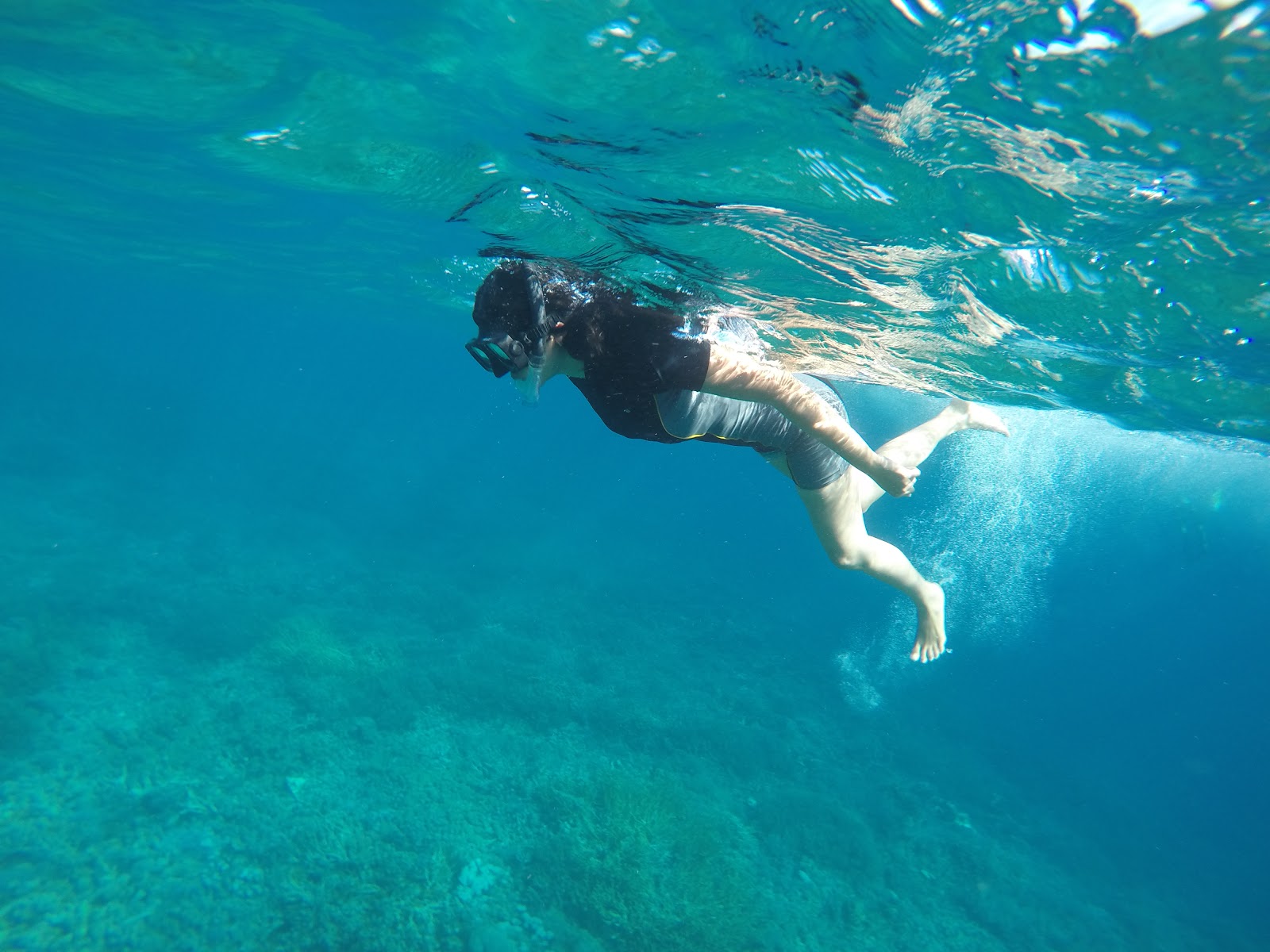 Best Time to Visit Komodo in 2027: Month-by-Month Diving & Cruise Guide