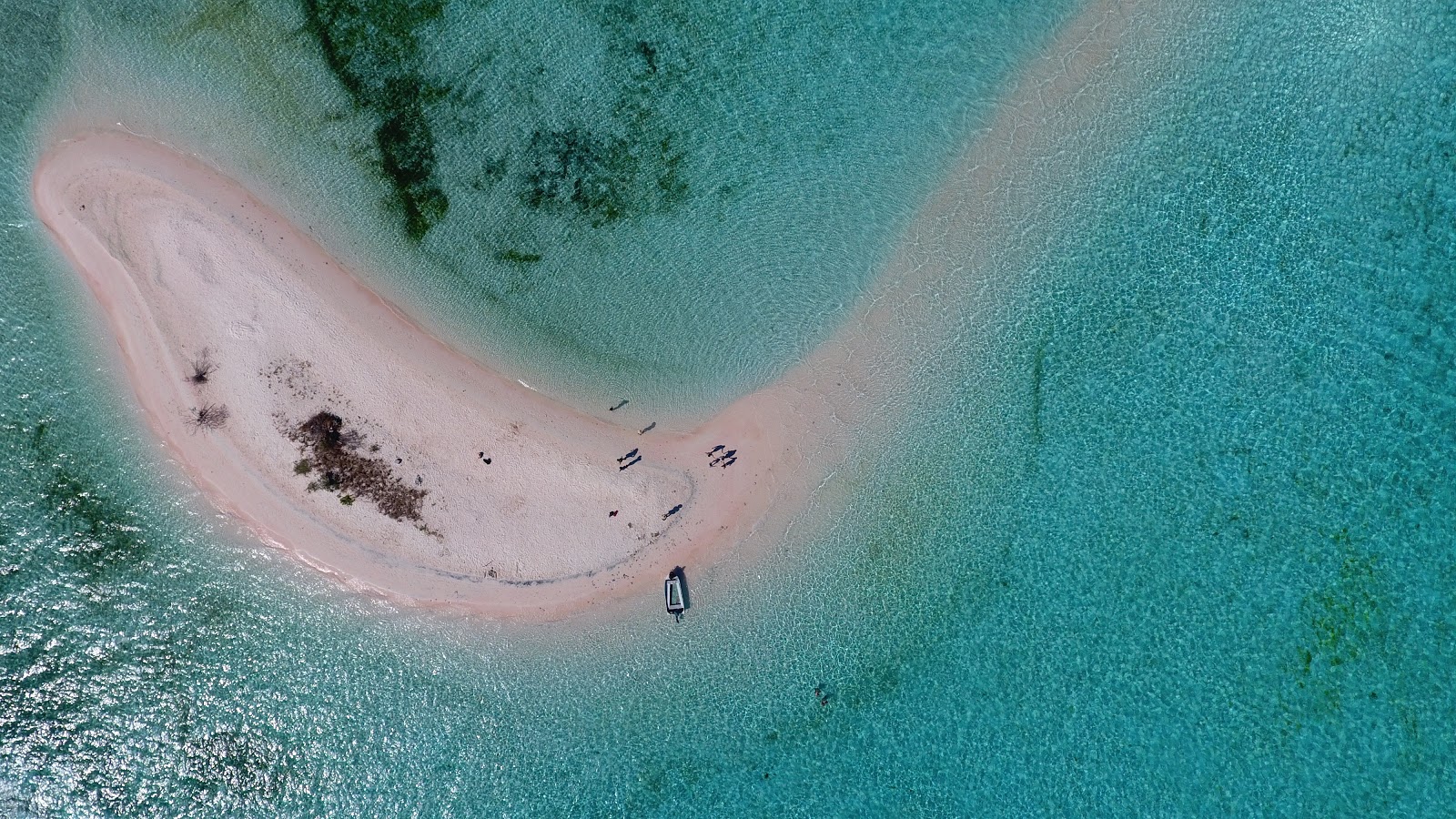 Diving in Komodo National Park: Best Sites & Seasons for 2026