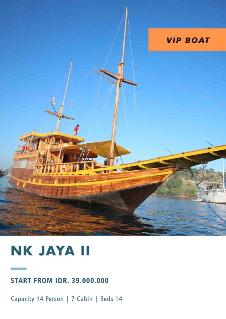 Komodo Phinisi Tour Dry Season April To November From Labuan Bajo