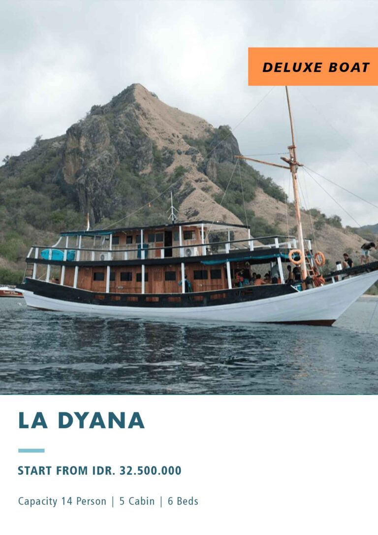 Komodo Phinisi Cruise 3D2N With Turtle Point Siaba Besar From Labuan Bajo