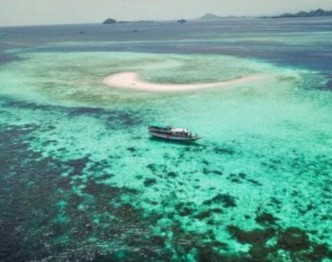 Kalong Island Flying Foxes: The Sunset Bat Spectacle of Komodo