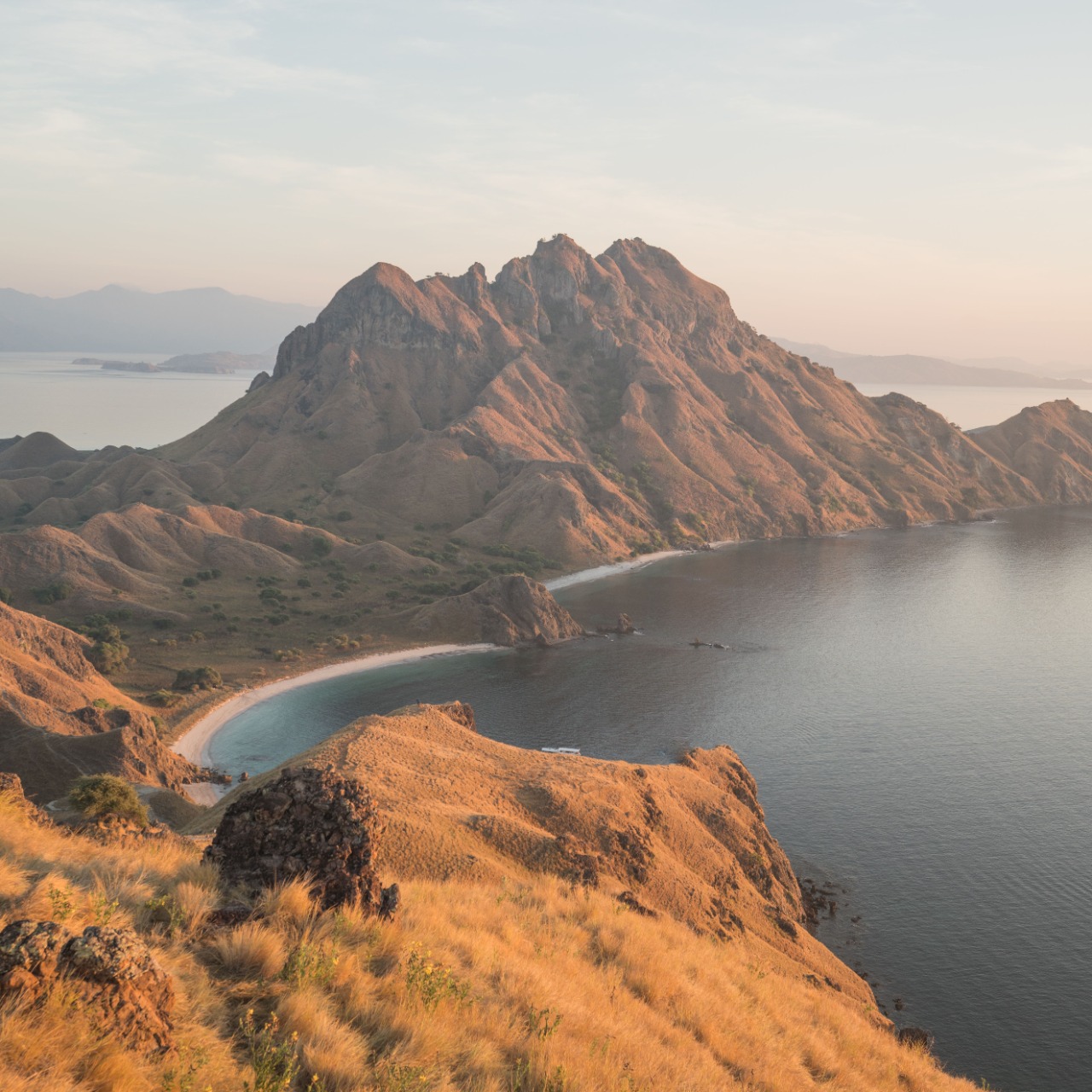 Diving Komodo National Park: Best Sites & Season 2026