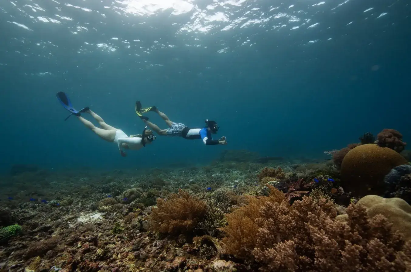 Guest Snorkeling | Naturalia Cruise