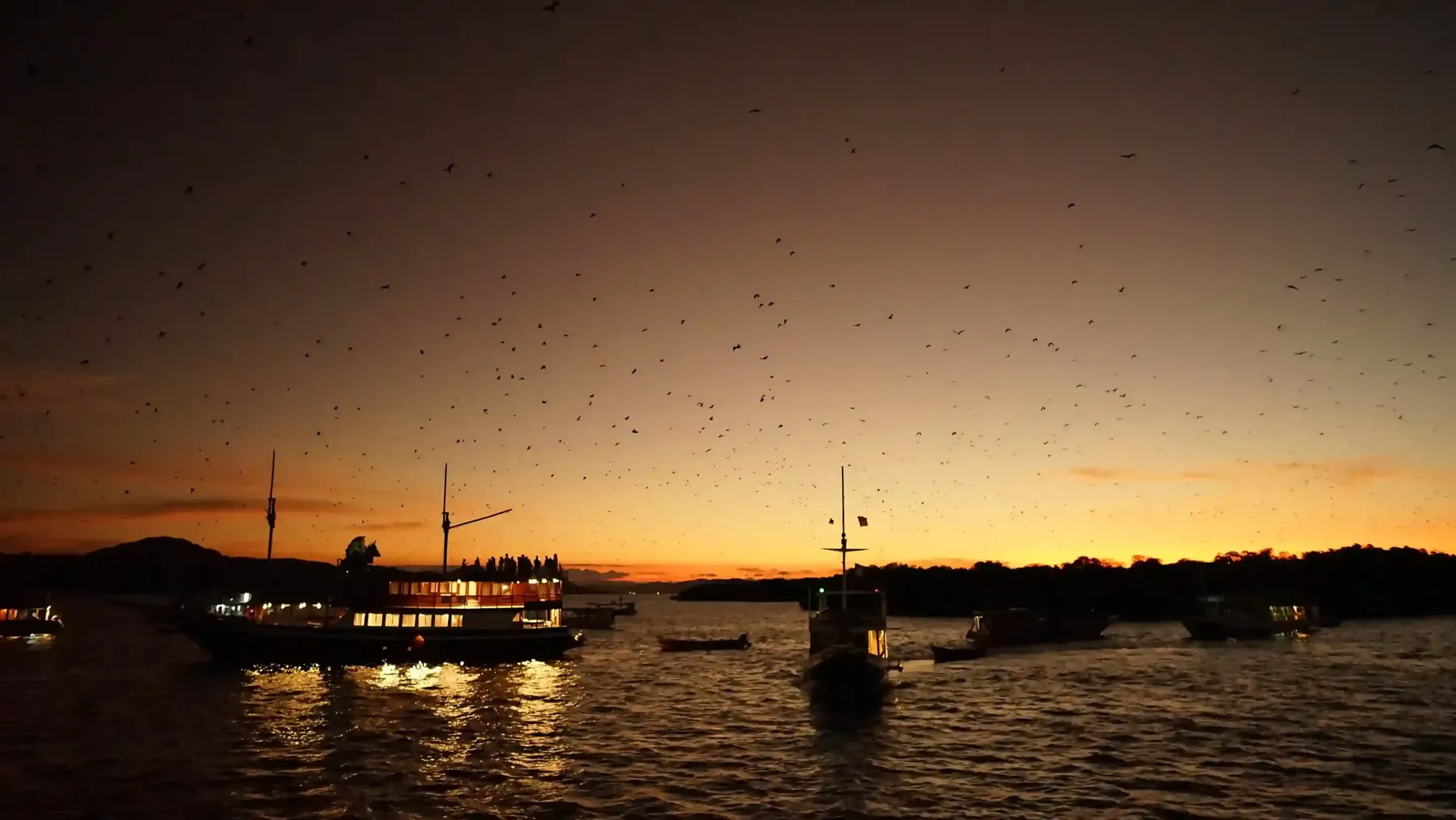 Sunset over Kalong Island, the flying fox mangrove anchorage in Komodo