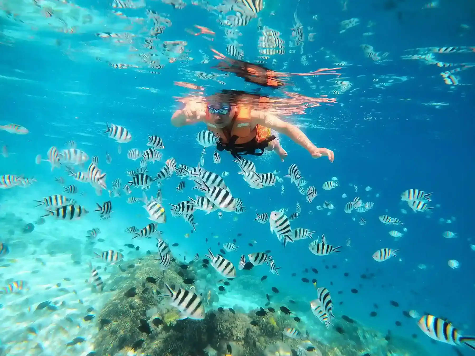 Snorkelling straight off the beach at Kanawa Island