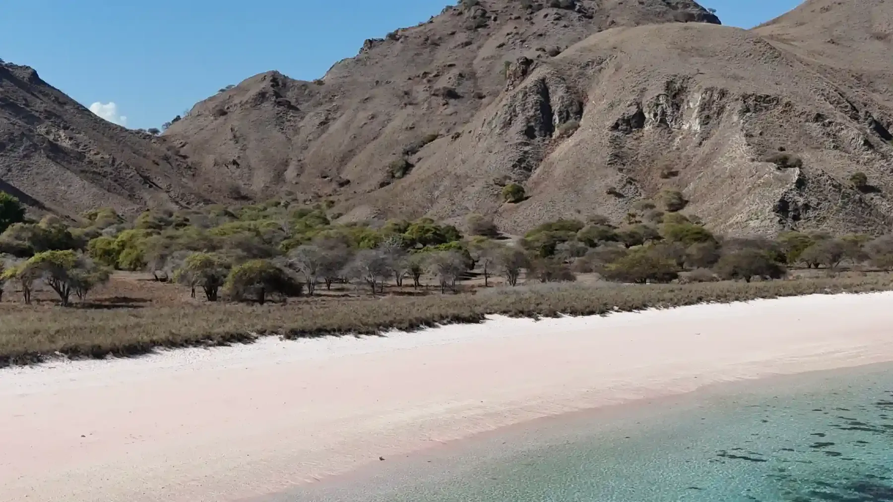 Snorkelling in the shallow reef off Pink Beach, Komodo